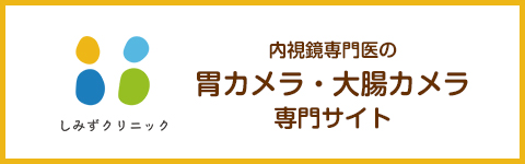 福岡市南区大橋のしみずクリニックの胃カメラ・大腸カメラ専門サイト